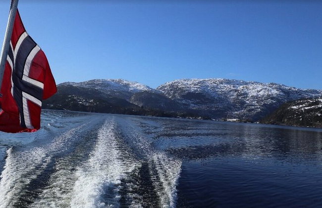 Bergen Fjord Cruise to Mostraumen Guided City Walk - Photo 3