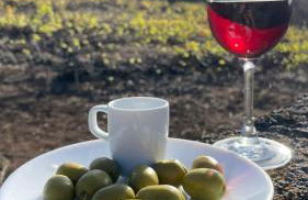 Finca Mamposo - Foto 10