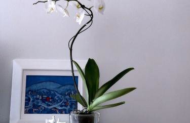 Apartment Buble - Foto 22