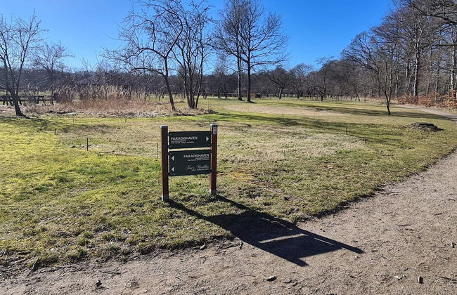 5 Star Holiday Home in Frederikshavn - Foto 18