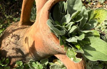 Villa HARMONIE - Foto 15