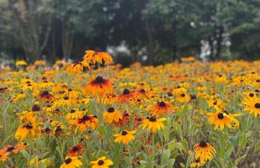 Wundervolle Ferienwohnung mit Bademantelzugang zur Therme - Foto 33