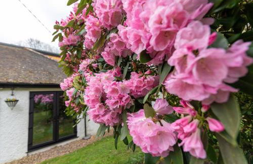 Acorn Lodge Luxury Retreat In a Stunning Oasis With Hot Tub - Pass the Keys - Foto 49