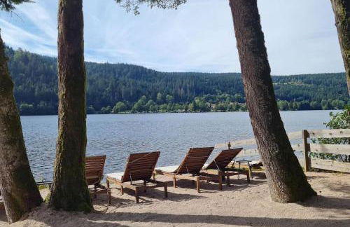 Charmant logis Gérardmer - Photo 26