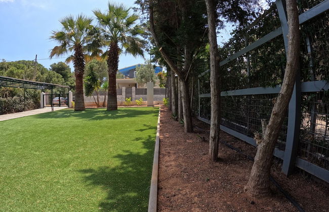 Hector Villa Airport - Foto 45