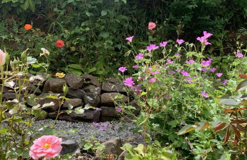 Rose Cottage - Foto 42