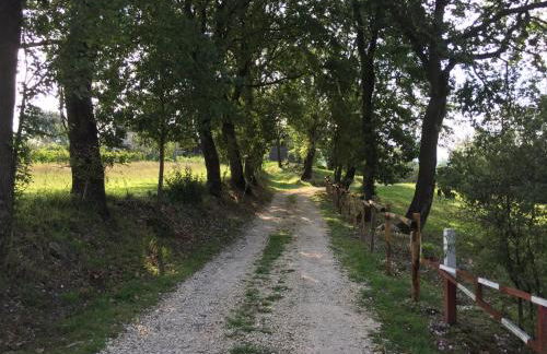 Locanda Marzi - Foto 57