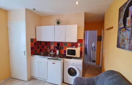 BEL APPARTEMENT CENTRE VEULES LES ROSES 1 CHAMBRE MER 300 M - Foto 7