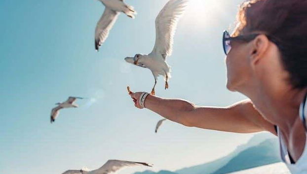 Profitez de la nature