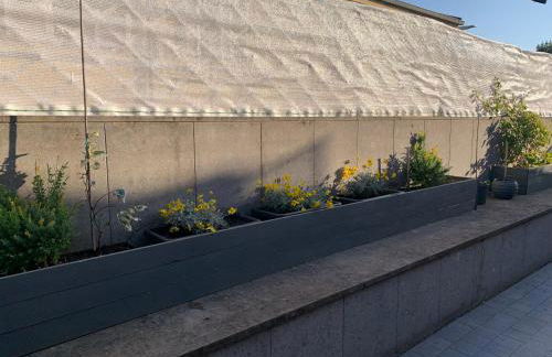 La Terrazza - Foto 8