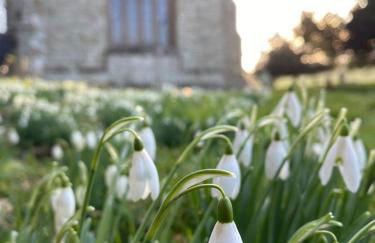 Kings Cottage - Heart of the Deverills - EV Point - Foto 13