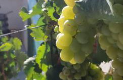 Casa le Gebbie - Photo 50