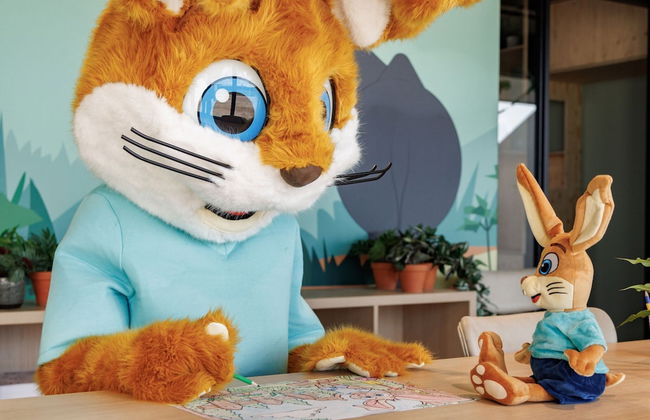 Nice Lodge With a Roof Window on the Brielse Meer - Foto 20