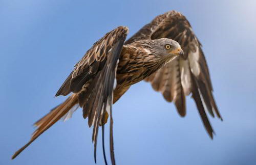 West Cottage - Foto 62