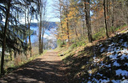 Wehr Orchidee Apartment - Foto 36