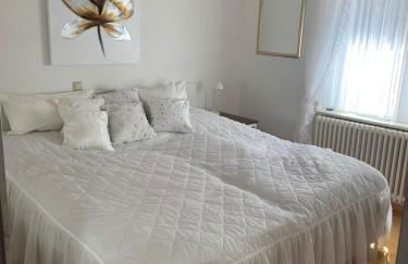 FeWo Sulzbachtal, Nähe Europa-Park, Rulantica, Schwarzwald, Feldberg - Foto 1