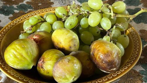 Dreams of Alaric Maison de charme avec piscine aux pieds des Pyrénées Ideal base cyclists exploring legendary climbs - Foto 2