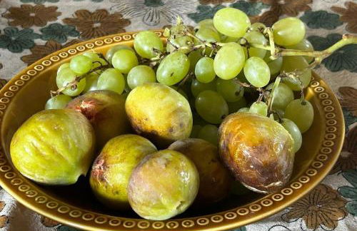Dreams of Alaric Maison de charme avec piscine aux pieds des Pyrénées Ideal base cyclists exploring legendary climbs - Foto 2
