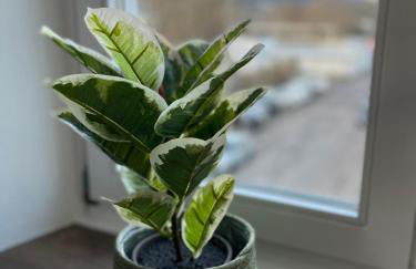 Ferienwohnung Zum Zollkran - Foto 15