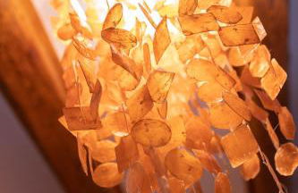 Appartamento sulle colline del Sangiovese - Foto 11