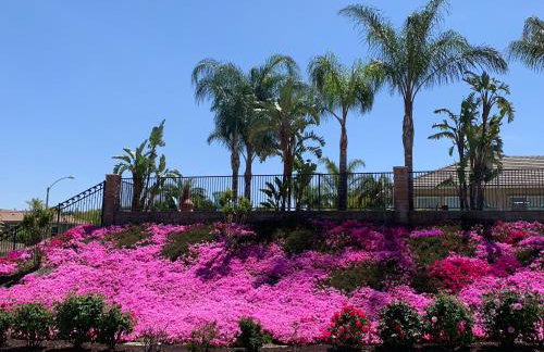 High End Triplex with Pool - Foto 40