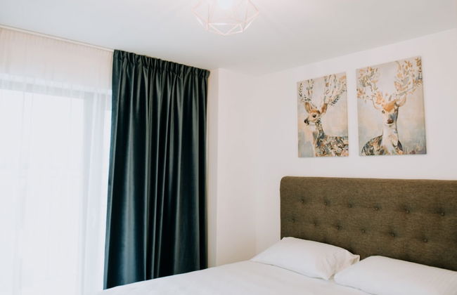 ZEN Central Apartments - Foto 14