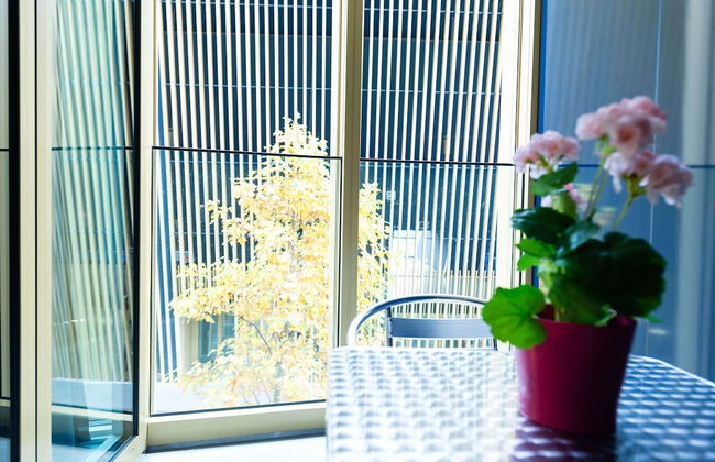 Hitrental Allmend Comfort Studios - Foto 17