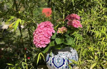 GITES - Mas Saint-Louis - Piscine chauffée - Foto 60