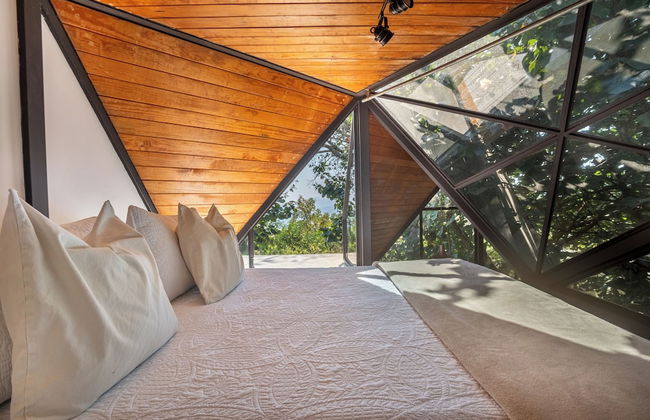 Bosque Geométrico - Foto 23