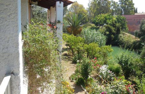 Petros Studios - Foto 20