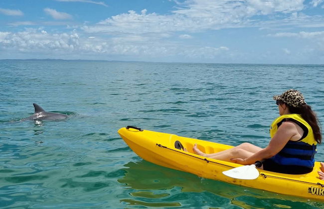 Dolphin View Kayak Tour - Foto 12