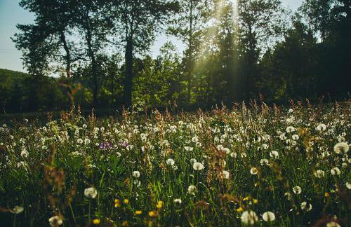 Blickinsfreie - Photo 47