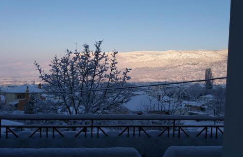 Six Steps From The Forest - Photo 38