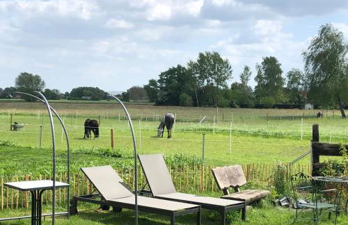 Ferienwohnung "Frieda" - Foto 42