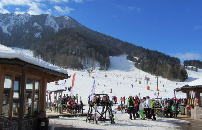 Apartments Jakelj - Foto 20