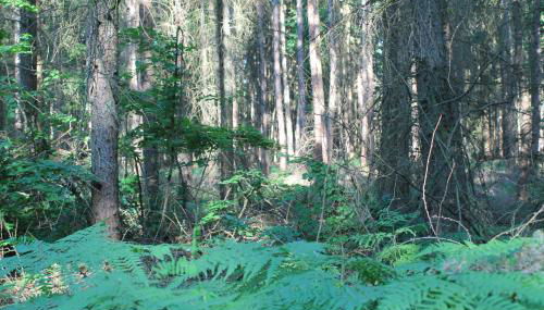 Ferienappartements am See - Foto 5