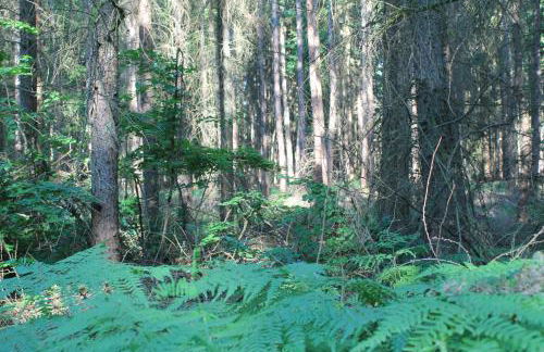 Ferienappartements am See - Foto 5