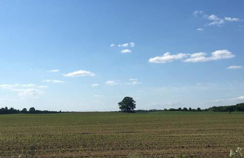 Im Naturschutzgebiet gelegene Ferienwohnung - Photo 15