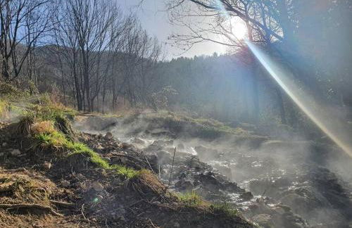 T2 cosy à la plage, terrasse vue sur mer et parking privatif - Photo 13