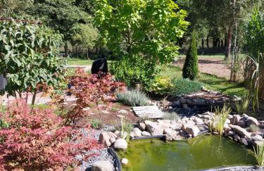 Łosiówka Domek nad Sapiną - Foto 11