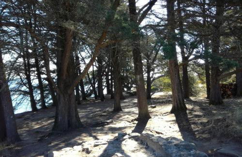 La Pomme de Mer - Foto 56