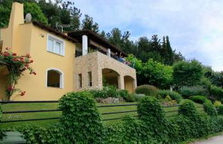 Six Steps From The Forest - Photo 4