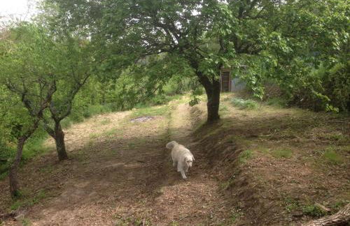 Ciglieri SantErmo Casciana Terme Lari PET&BIKE friendly FREE PARK - Foto 29