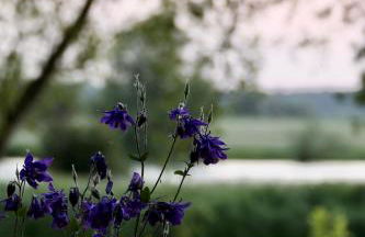 Ruhige Ferienwohnung an der Havel - Photo 19