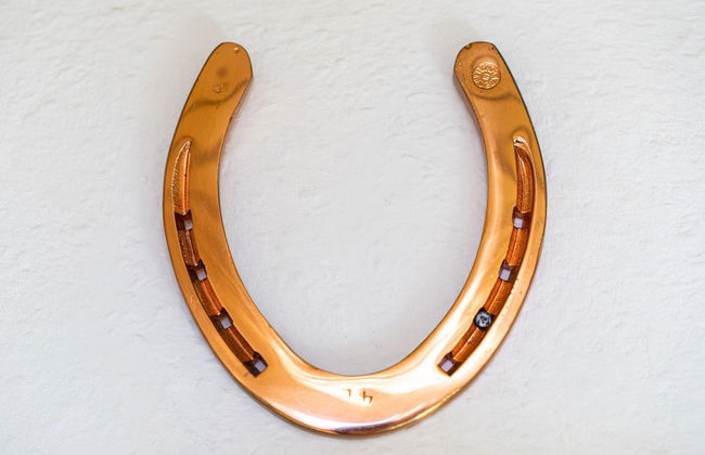 Apartment in St. Peter-ording by Sandy Beach - Foto 17