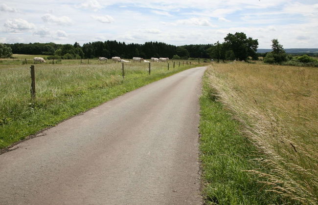 Luxurious Cottage in Durbuy With Swimming Pool - Foto 38