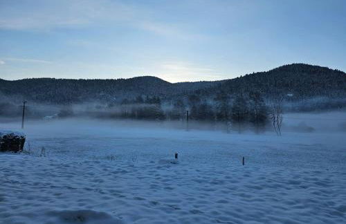 Maison au pied des 1000 étangs - Foto 65