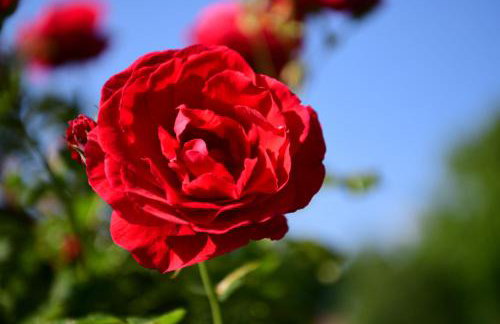 Apartment Marija Zupan - Foto 58