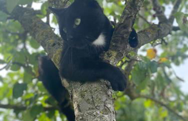 Domaine Nature Vacances - Foto 48