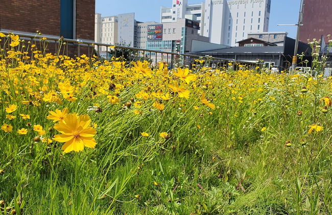 Haha Pension - Foto 53